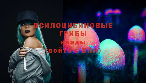 ALPHA PVP Алексеевка
