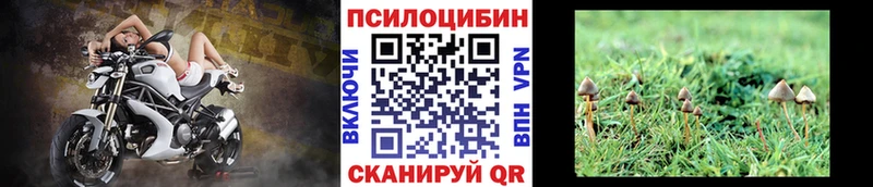 дарк нет Telegram  купить  цена  Пласт  Галлюциногенные грибы MAGIC MUSHROOMS 
